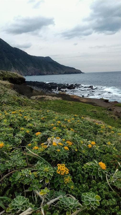 Отель 築100年の宿【はぶの家】 Oshima Экстерьер фото